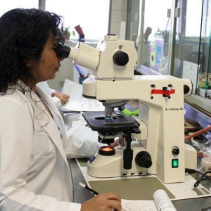 courses in biotechnology
